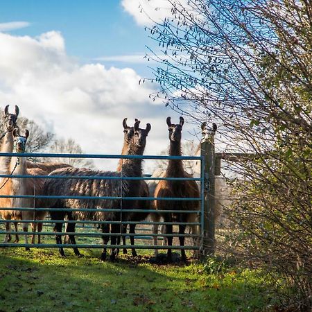 ゴダルマイニング The Merry Harriers Bed & Breakfast エクステリア 写真